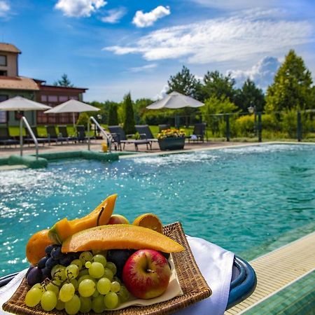 Hotel Forest Hills زيرك المظهر الخارجي الصورة