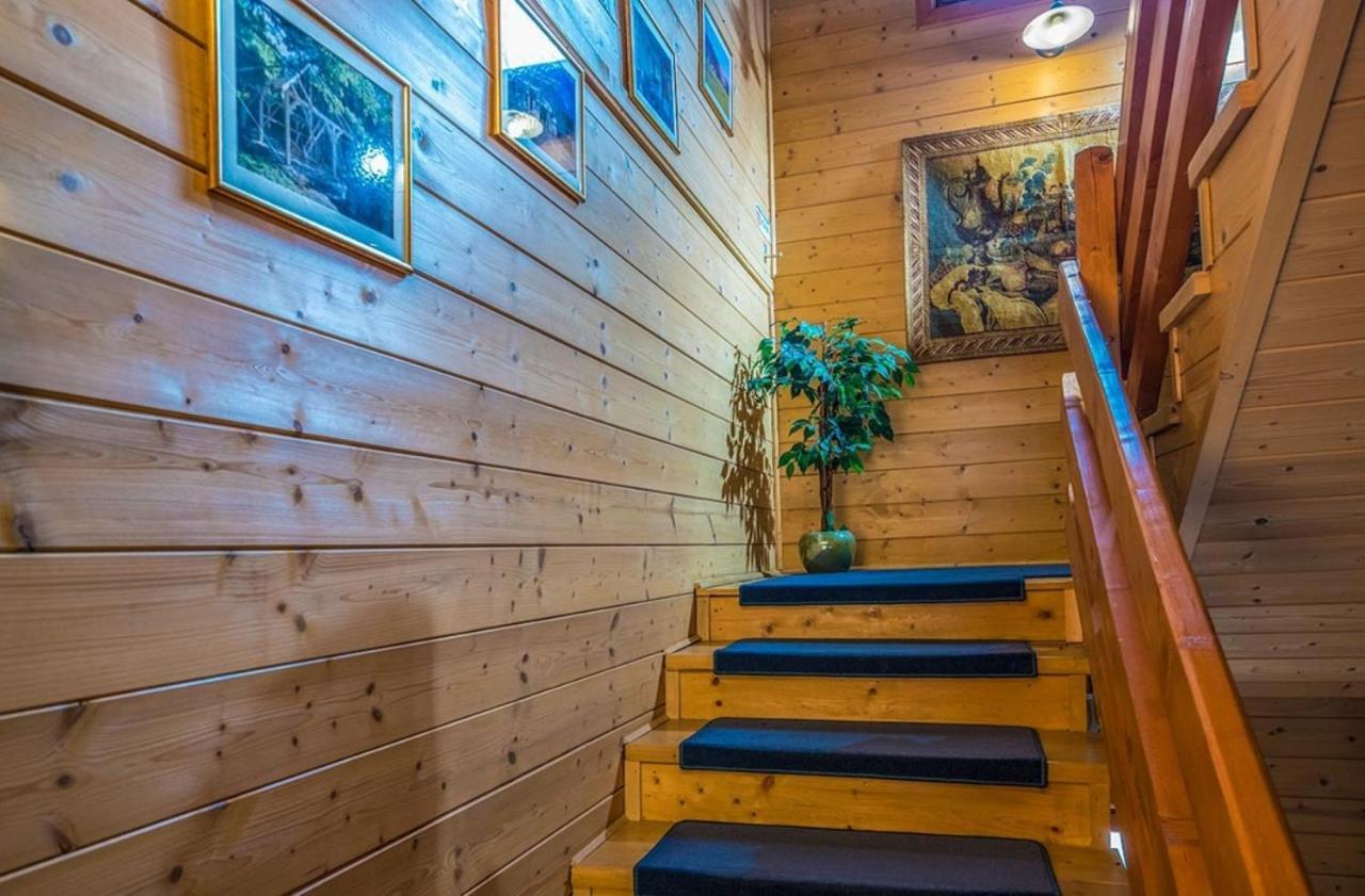 Hotel Forest Hills زيرك المظهر الخارجي الصورة
